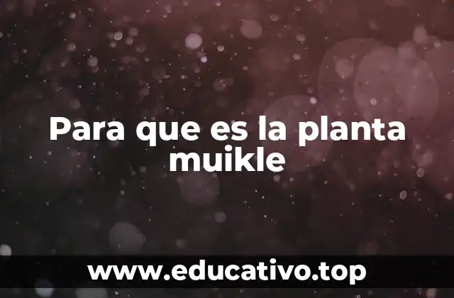 Para que es la planta muikle