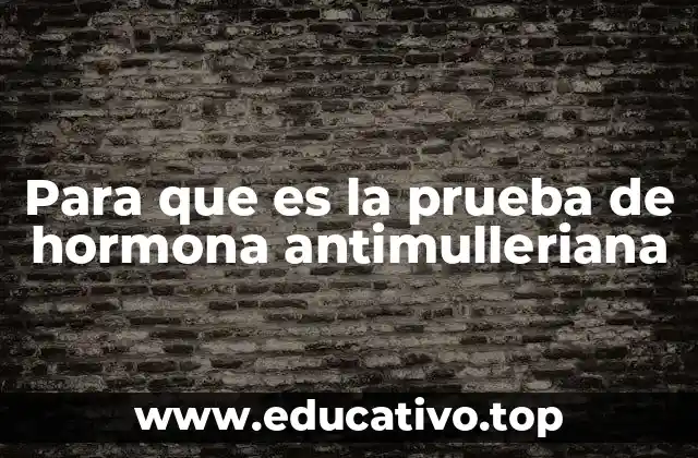 Para que es la prueba de hormona antimulleriana