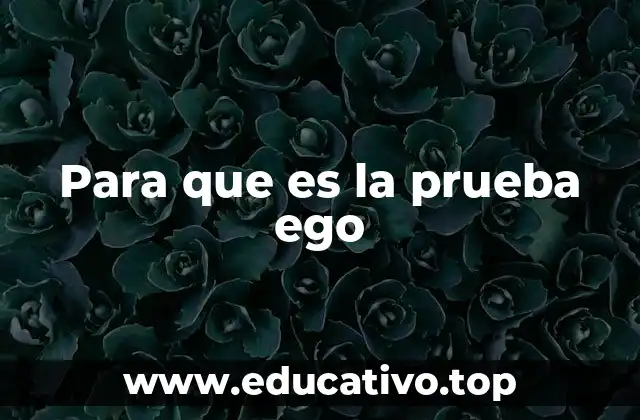 Para que es la prueba ego