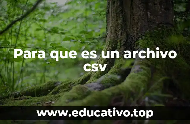 Para que es un archivo csv