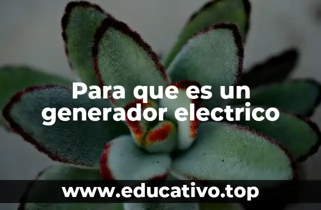 Para que es un generador electrico