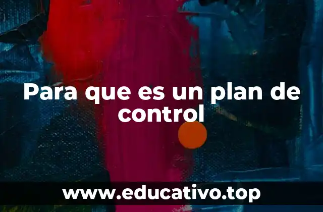 Para que es un plan de control
