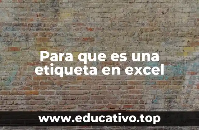 Para que es una etiqueta en excel