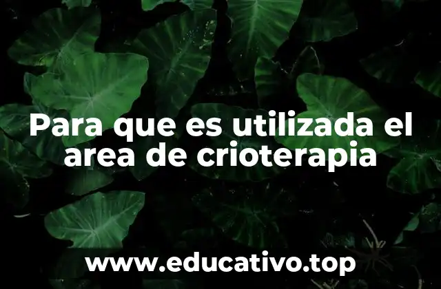 Aplicaciones de la crioterapia en diferentes contextos médicos
