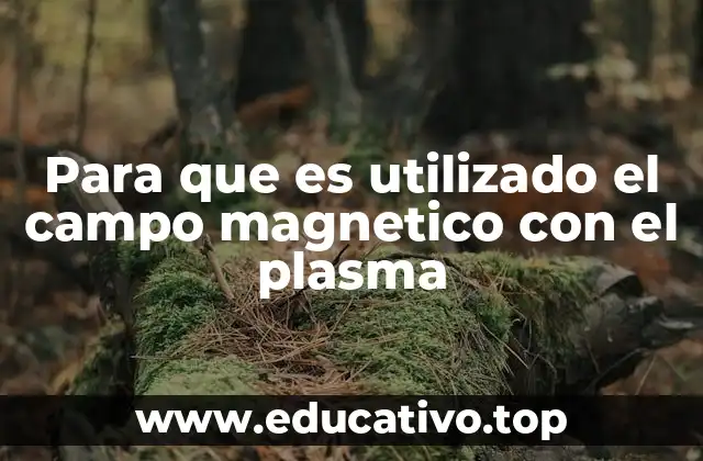 Para que es utilizado el campo magnetico con el plasma