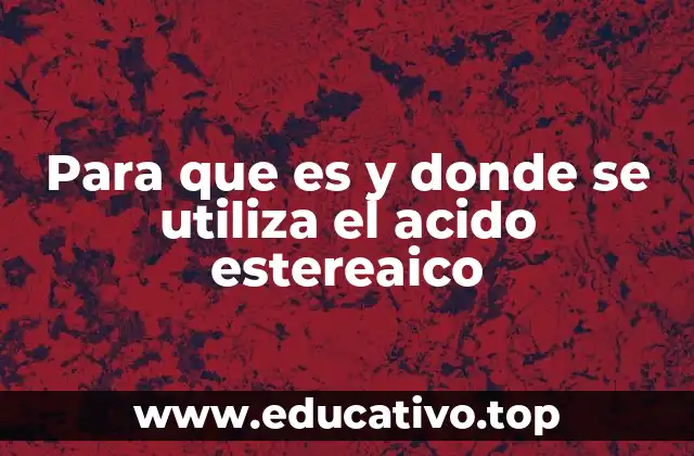 Para que es y donde se utiliza el acido estereaico