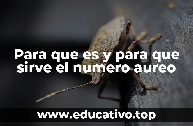 Para que es y para que sirve el numero aureo