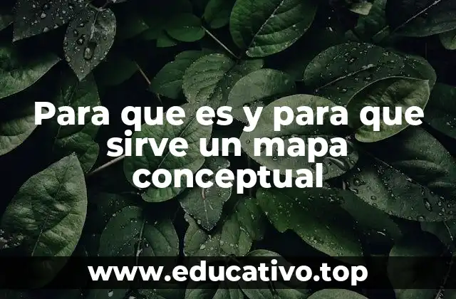 Cómo los mapas conceptuales facilitan la comprensión visual de la información