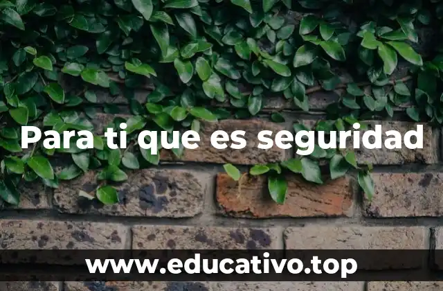 Para ti que es seguridad