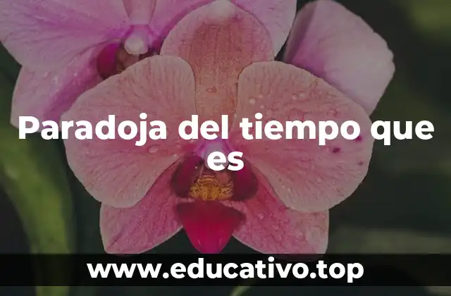 Paradoja del tiempo que es