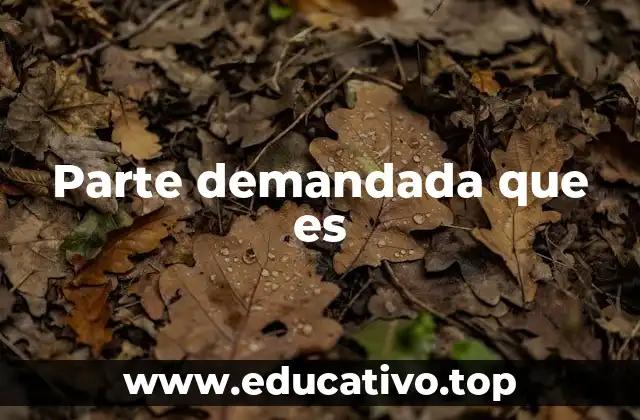 El papel de la parte demandada en el proceso judicial