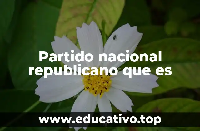 Partido nacional republicano que es