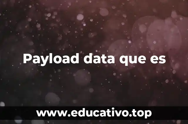 Payload data que es