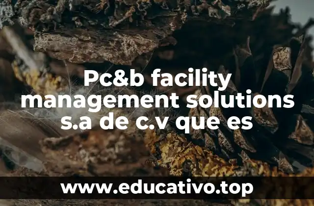 Pc&b facility management solutions s.a de c.v que es