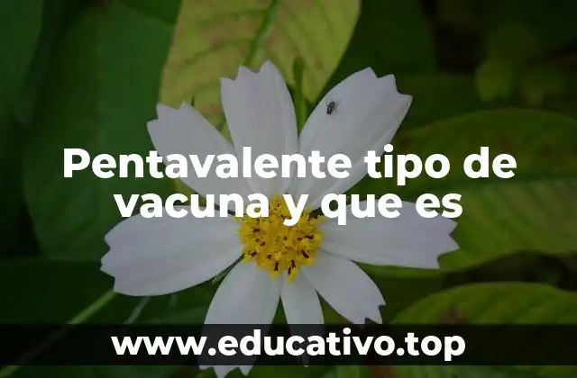 Pentavalente tipo de vacuna y que es
