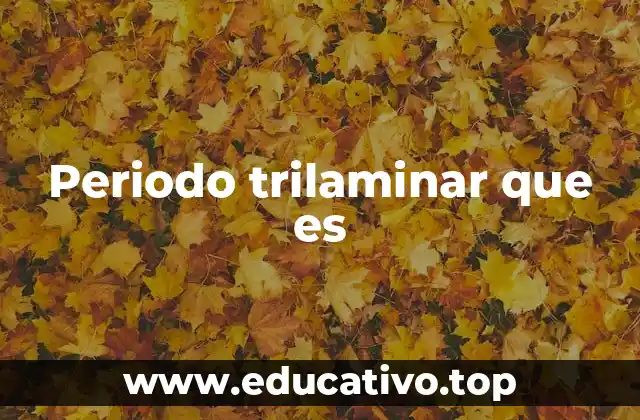 El desarrollo trilaminar y su importancia en la embriología