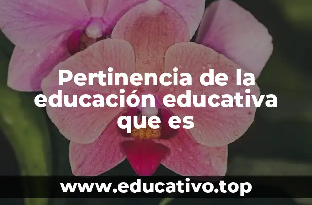 Pertinencia de la educación educativa que es