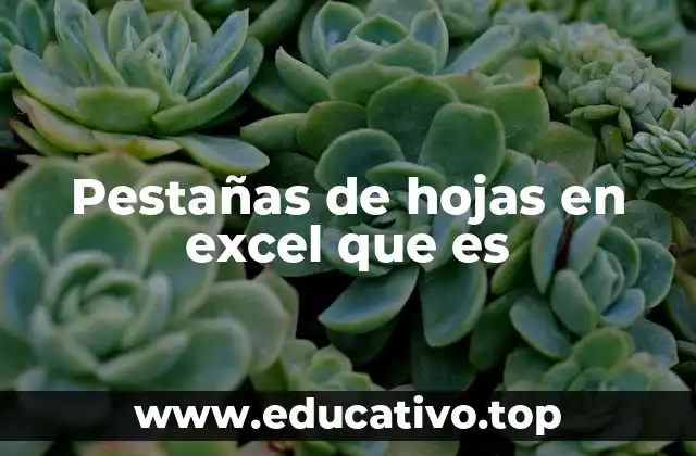 Pestañas de hojas en excel que es