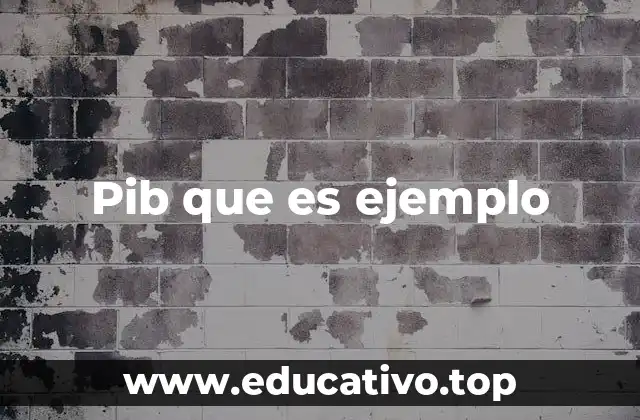Pib que es ejemplo