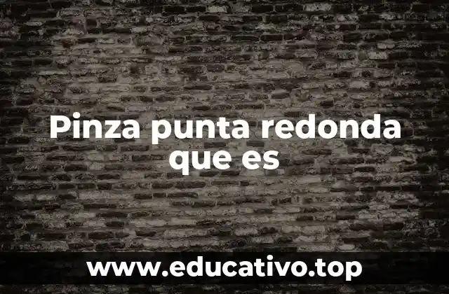 Pinza punta redonda que es