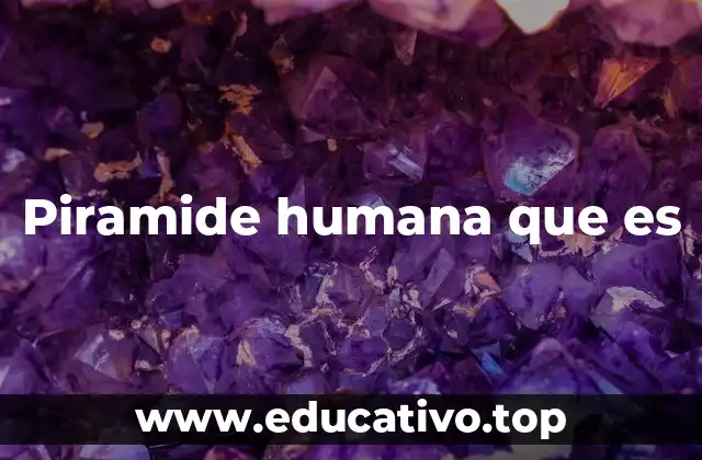 La estructura de una organización a través de una representación visual