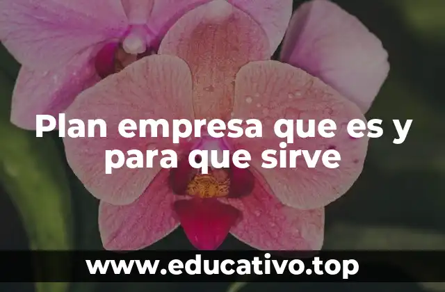 La importancia de tener una visión clara antes de escribir el plan de empresa