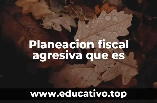 Planeacion fiscal agresiva que es