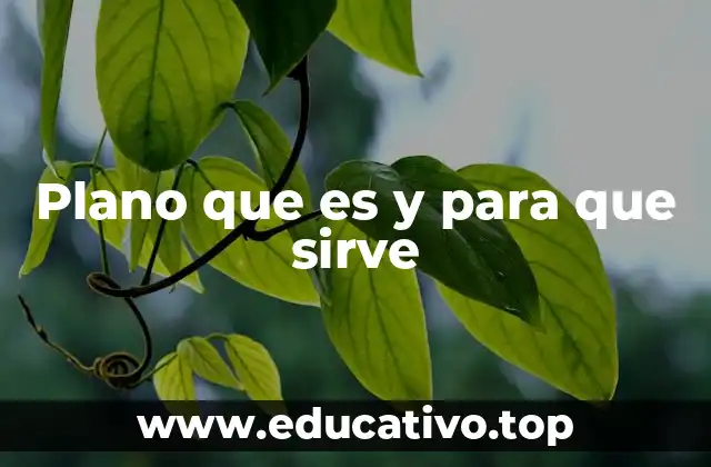 Plano que es y para que sirve