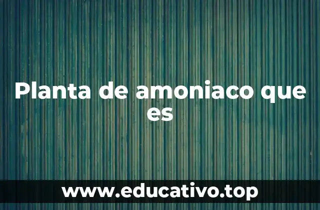 Planta de amoniaco que es