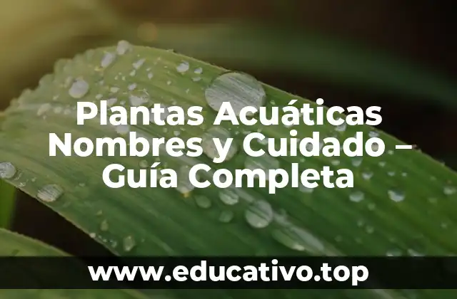Plantas Acuáticas Nombres y Cuidado – Guía Completa