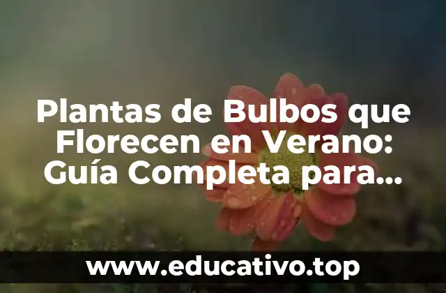 Plantas de Bulbos que Florecen en Verano: Guía Completa para Jardines de Verano