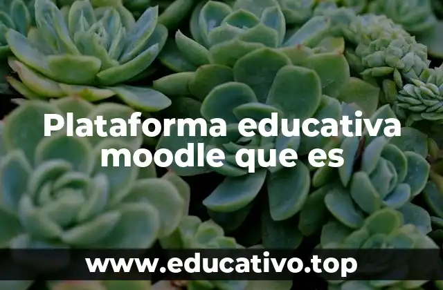 Plataforma educativa moodle que es
