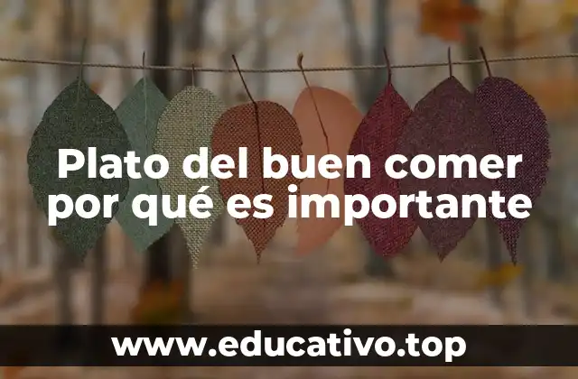 La importancia de una alimentación equilibrada