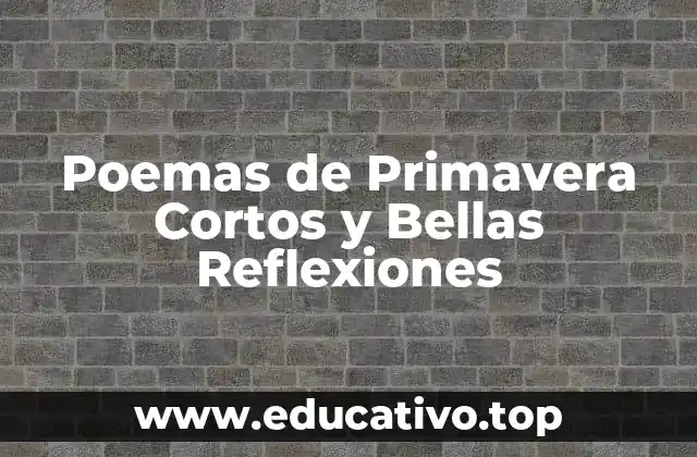 Poemas de Primavera Cortos y Bellas Reflexiones