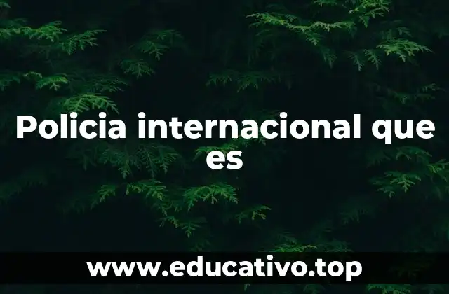 Policia internacional que es