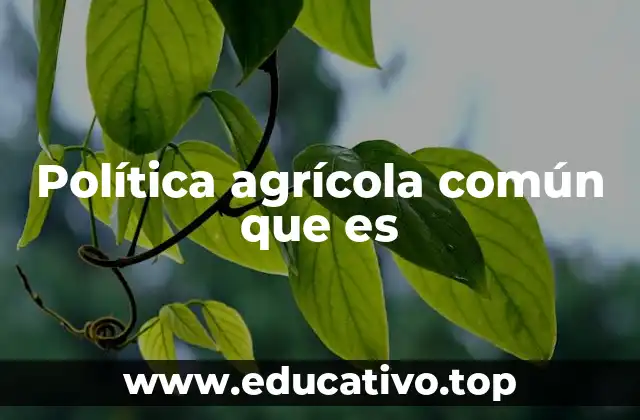 Política agrícola común que es