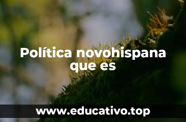 Política novohispana que es