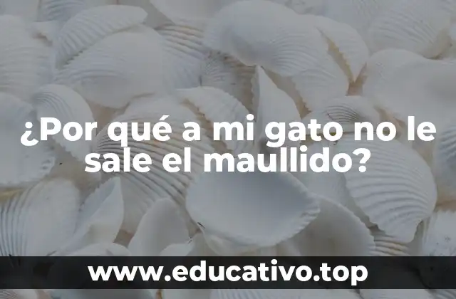 ¿Por qué a mi gato no le sale el maullido?