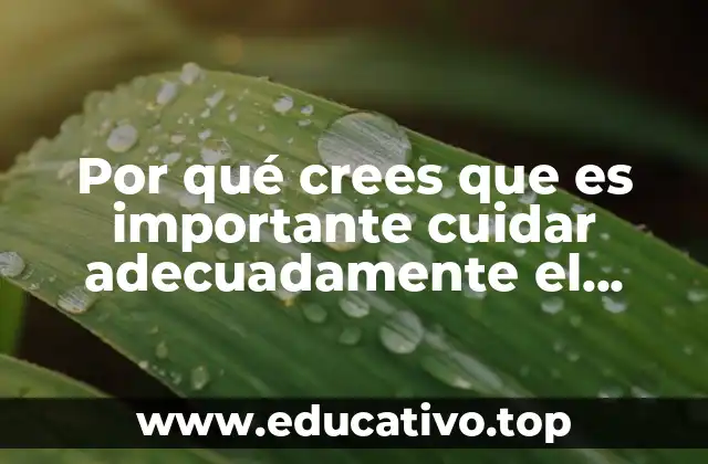 La importancia del cuidado del equipo en el laboratorio científico