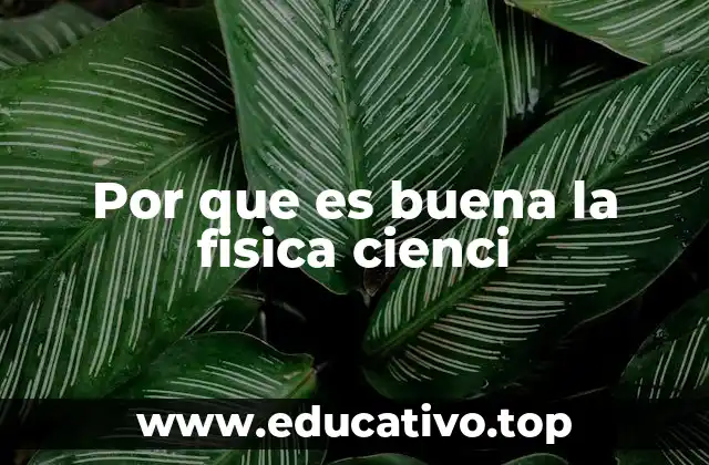 Por que es buena la fisica cienci