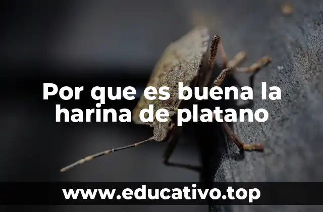 Por que es buena la harina de platano