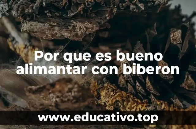 Por que es bueno alimantar con biberon