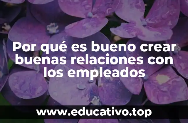 Por qué es bueno crear buenas relaciones con los empleados