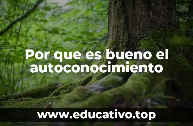 Por que es bueno el autoconocimiento
