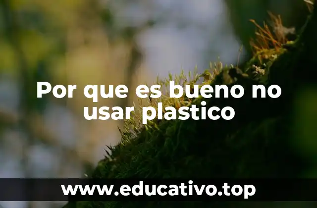 Por que es bueno no usar plastico