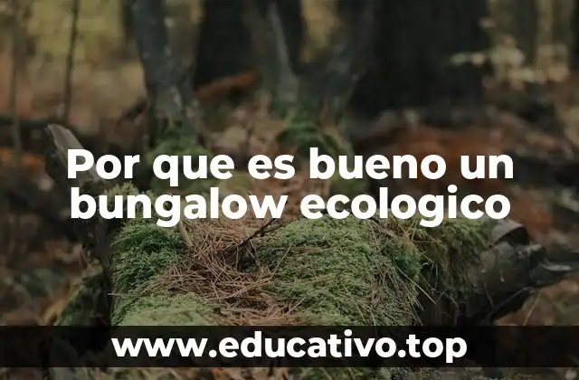Por que es bueno un bungalow ecologico