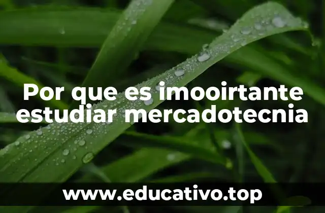 El papel de la mercadotecnia en el desarrollo empresarial