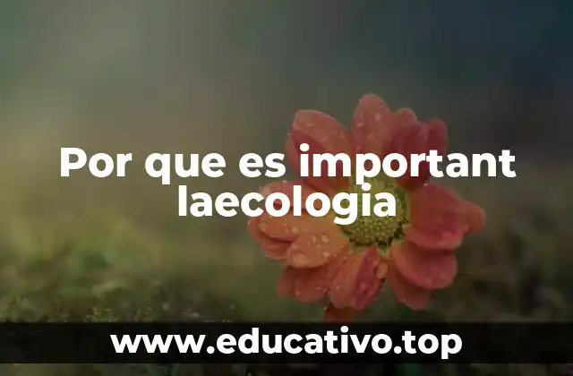 Por que es important laecologia