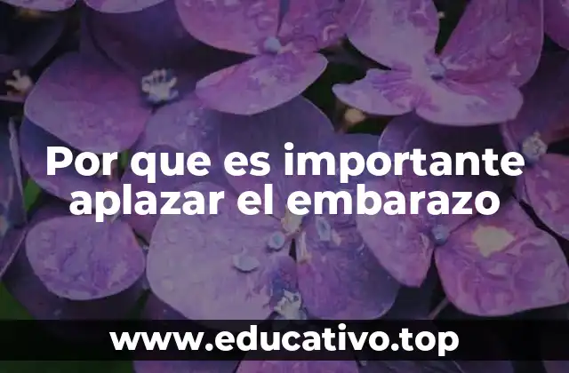 La importancia de planificar el momento adecuado para formar una familia