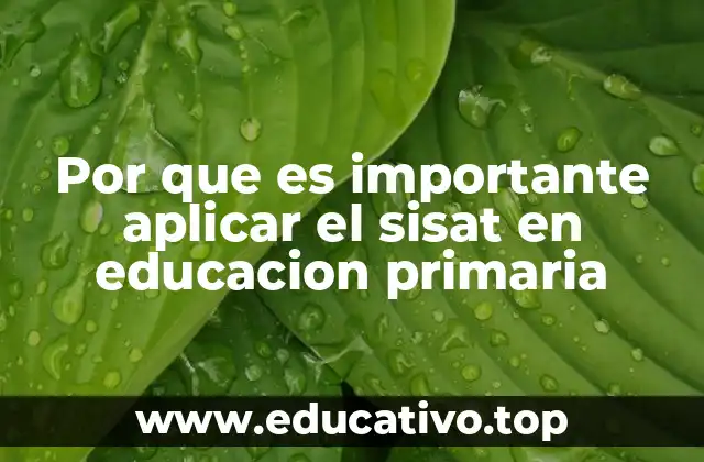 Por que es importante aplicar el sisat en educacion primaria